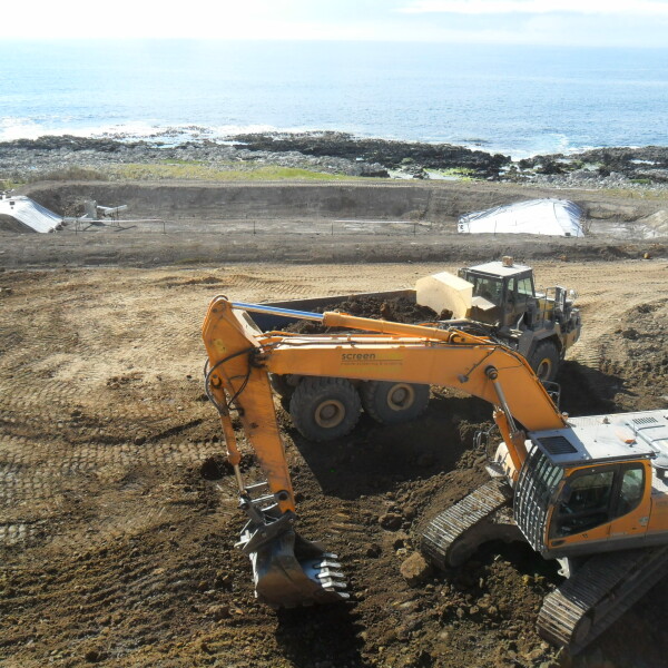 Chatham Islands 2016 18 6