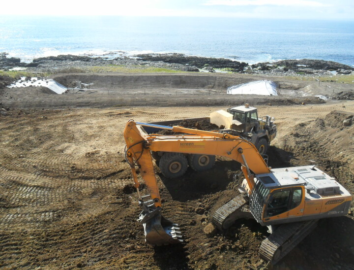 Chatham Islands 2016 18 6